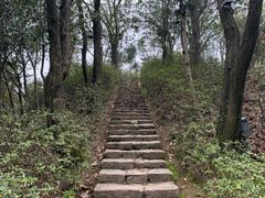 -莫干山风景区