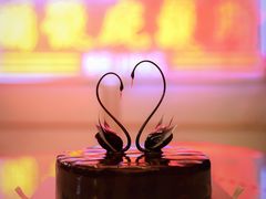 -BLACKSWAN黑天鹅(环球店)