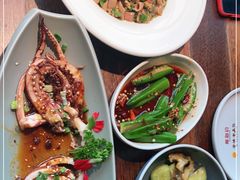 -前海沿·青岛菜(大拇指广场石老人店)