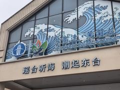 -中国石化东台服务区（沈阳方向）加油站