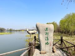 -溱湖国家湿地公园