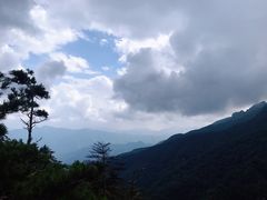 -牛背梁国家森林公园
