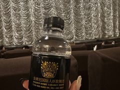 -金东尼人妖秀