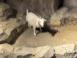 -酷嗒动物文化乐园(cutezoo西溪乐天城店)