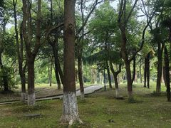 -张家港金凤凰度假村温泉