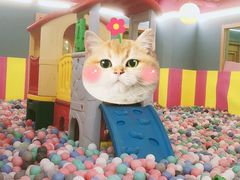 -美林大浴场(奥体中心店)