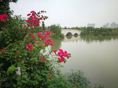 -眉山湿地公园(东坡区)