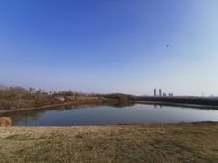 -盘龙城遗址博物院