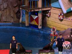 -烟台海昌鲸鲨海洋公园