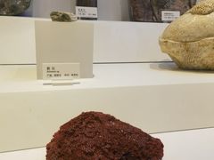 -重庆自然博物馆(新馆)