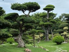 -南宁南湖公园
