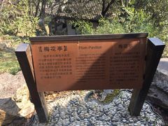 -香雪海