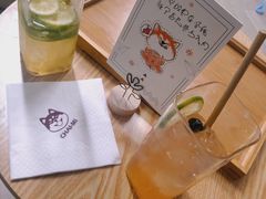 -柴迷FANS CLUB·柴犬狗咖·猫咖
