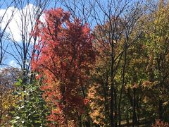 -庆岭迎宾园正宗活鱼馆