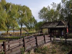 -西青郊野公园