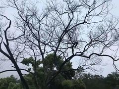 -福道