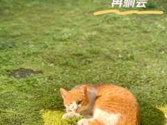 -太平天国历史博物馆(瞻园)