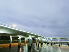 -演武大桥观景平台