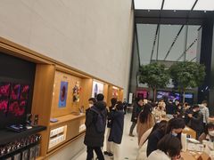 -Apple零售店(苏州店)