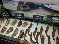 -济南凯宾斯基酒店-THE VIEW云景全日制餐厅