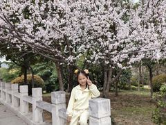 -云龙湖旅游景区