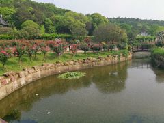 -龙寺生态园