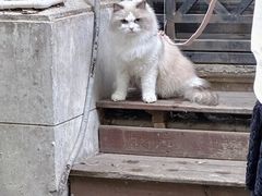 -飞马旅黎黄陂路文旅街区