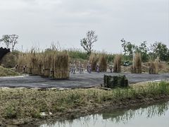 -泗洪洪泽湖湿地景区