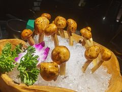 虎松茸-凤园椰珍·臻品椰子鸡(保利时光里店)