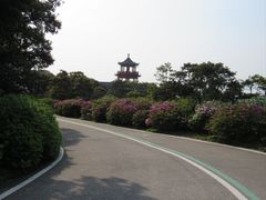 -梧桐山风景名胜区