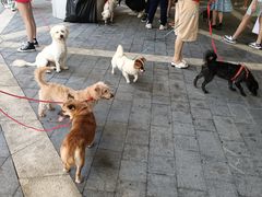 -深圳来福士广场