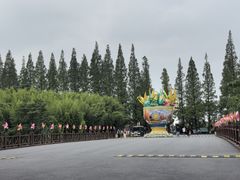 -黄海国家森林公园