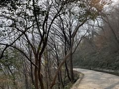 -紫金山山顶公园