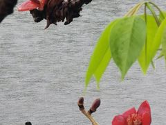 -东山湖公园