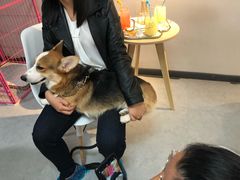 -汪说·狗咖(旺城大厦店)