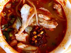 -七采菌园·野生菌石锅鱼(环城北路店)