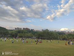 -深圳龙潭公园