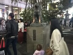 -涩谷区