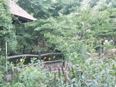 -北京水岸山吧度假村(雁栖镇店)