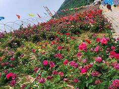 -济南马套将军山