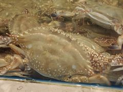 -新丁香海鲜酒店(银海商贸城店)