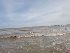 -南汇新城海滩