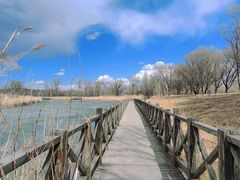 -野鸭湖国家湿地公园