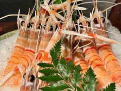 -Mr.Fish鱼鲜生海鲜放题(高德置地冬广场店)