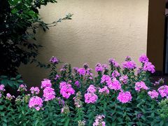 -意大利农场度假村