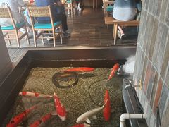 -0776食堂·京城创意菜(七里庄店)