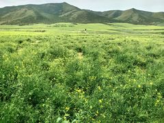 -扁都口生态休闲旅游区