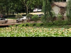 -巴山一绝烤全羊(三圣乡刘家花园店)