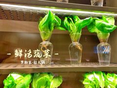 -罗勒家·养生火锅· Bistro(大望路店)