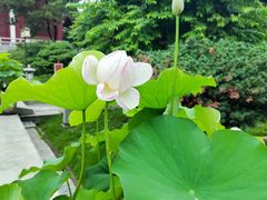 -汇龙潭